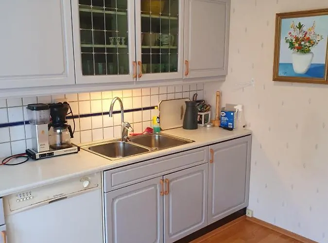 Apartman Kongsgard